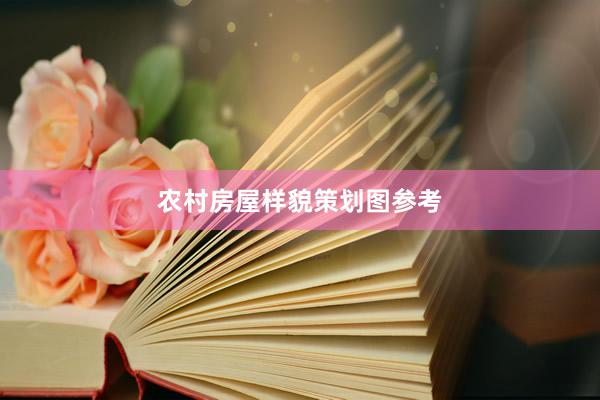 农村房屋样貌策划图参考