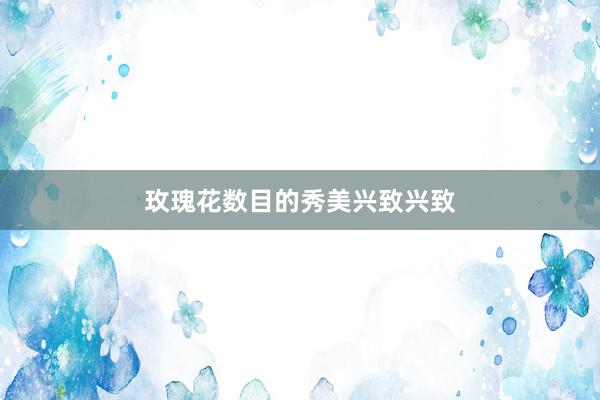 玫瑰花数目的秀美兴致兴致