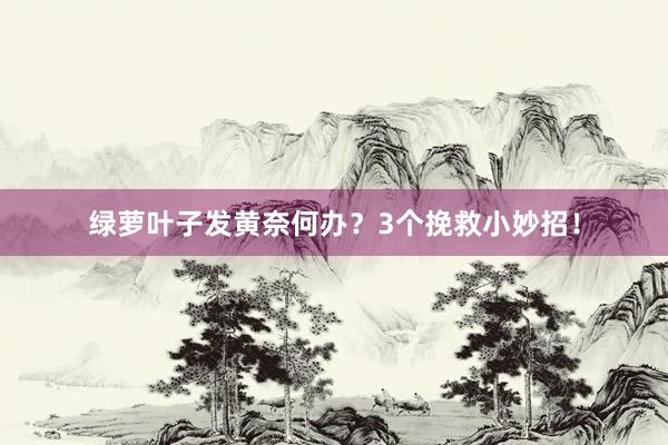 绿萝叶子发黄奈何办？3个挽救小妙招！