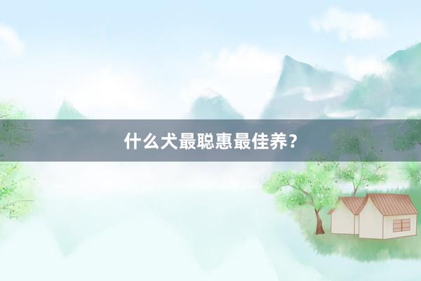 什么犬最聪惠最佳养?